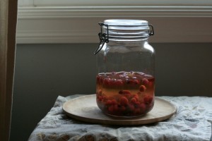 rosehip-vodka-3