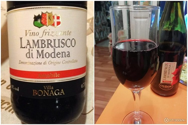 Lambrusco di Modena